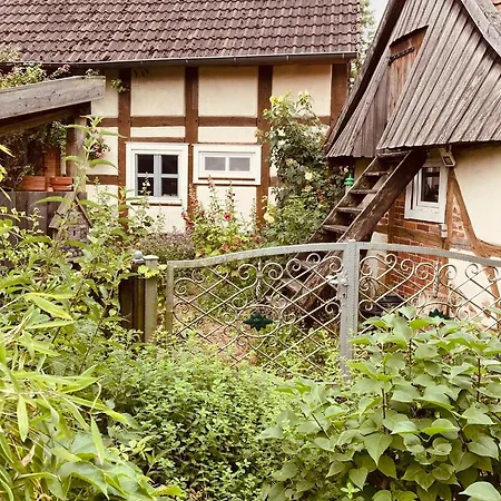 Holiday home Zur Sonne *